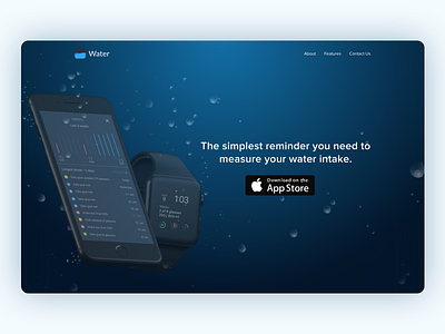 Landing page/Website dashboard insights ios landing page reminder track ui ux watch water web website