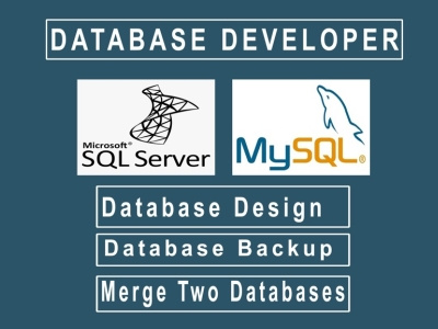 Database Development by M AMIR Malik on Dribbble
