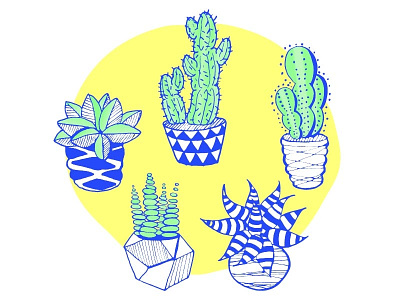 Cacti and Succulent Illustrations cacti cactus drawing icon iconography illustration illustrator photoshop plant plants succulent vector