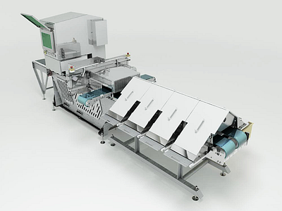 Food Portioning Machinery
