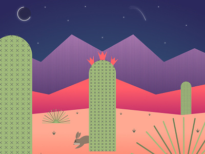 Desert Night desert illustration