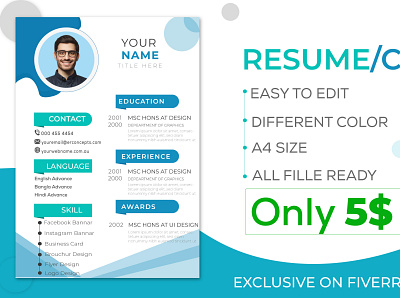 I will Create Solid colorful resume cv design cv design resume cv