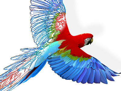 Illustrated Parrot ai illustration vector