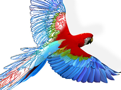Illustrated Parrot