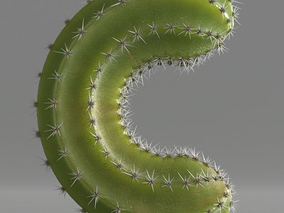 C for cactus 36daysoftype 3d modo render