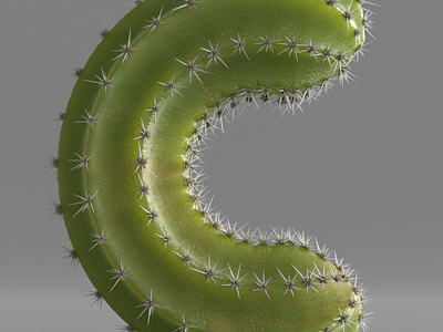 C for cactus