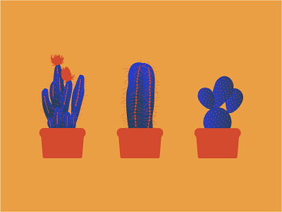 Cactus clean design illustration minimal