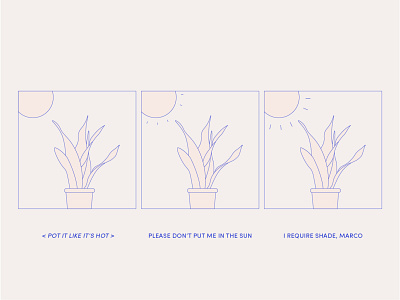 Pot It like It's Hot clean design illustration minimal nature plant plant illustration plants