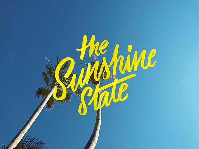 The Sunshine State design florida graphic miami palm trees photography script state sun sunshine type typograp