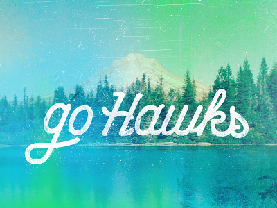 Go Hawks bule football go team green handmade mount rainier mountain northwest seahawks type