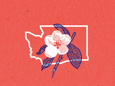 Washington state postcard concept apple blossom logo pnw sate wa washington state
