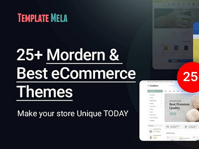 Best eCommerce Themes business
