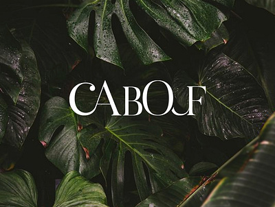 Logo Cabouf branding design flat illustration logo logo design typography vector