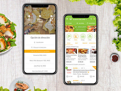 Food App Concept