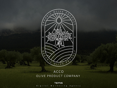 Logo Design for Acco