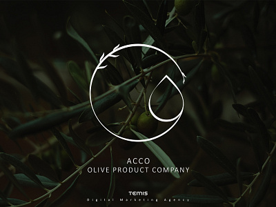 Logo Design for Acco brand identity branding design digital green logo logo design mark marketing minimal natural olive