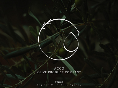 Logo Design for Acco