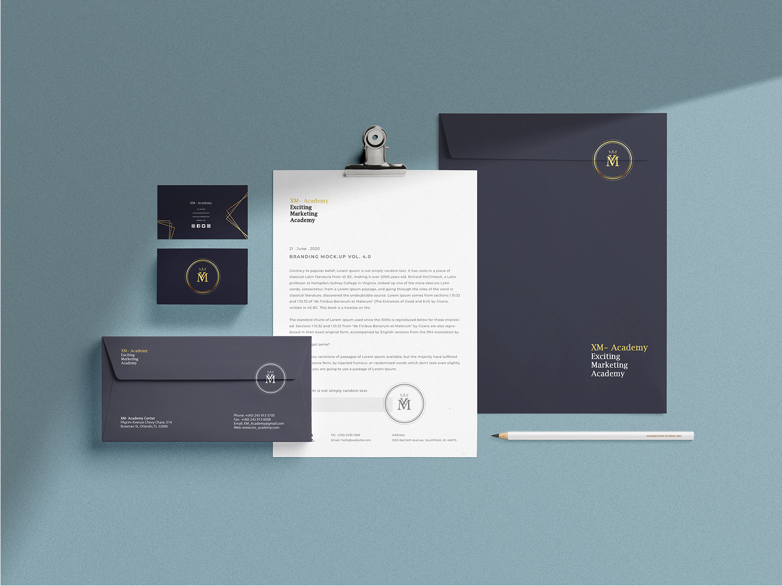 Brand Identity Design for XM by Temis Logo & Stationary on Dribbble