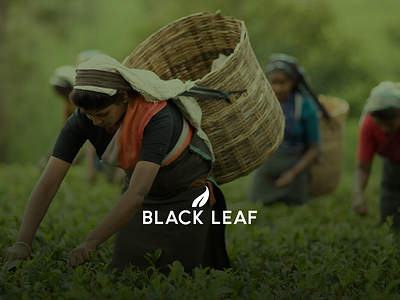 Black Leaf black green leaf shop tea ui ux web