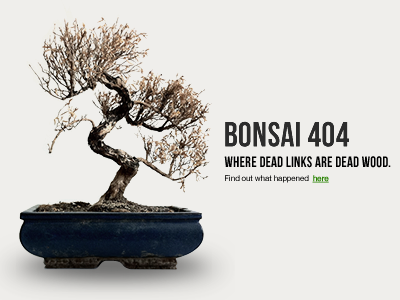 Ribot Bonsai 404 bonsai error 404 page ribot website