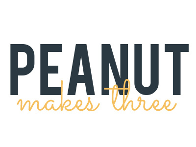 peanut makes three blog logo navy blue orange