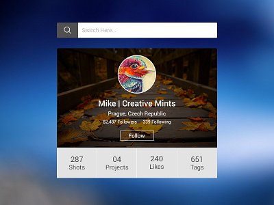 Designer Profile Widget