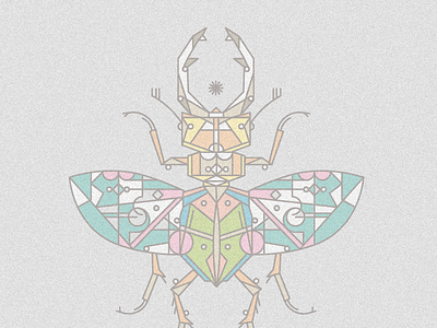 stag beetle-moth bug colored insect lines linework moth stag beetle