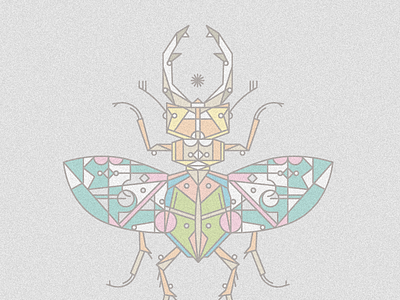 stag beetle-moth