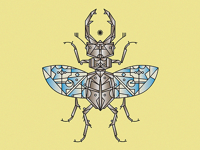 rework of the stagbeetle-moth bugs flash geometric gradient illustration line lines stuff symmetric