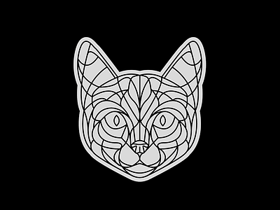 New Kitten animal cat design dynamic graphic illustration kitten lines linework