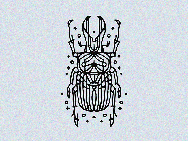 Temporary Tattoos 1 Sheet Moth Beetle Scorpion Bee  Etsy