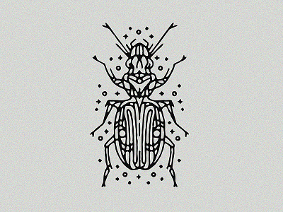 Carabidae Beetle - Tattoo beetle carabidae design dynamic graphic illustration insect lines linework tattoo