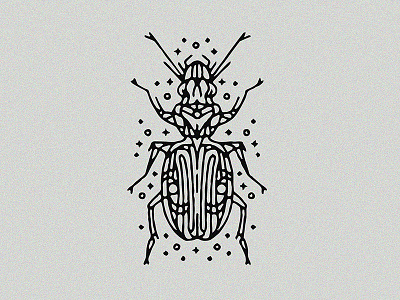 Carabidae Beetle - Tattoo beetle carabidae design dynamic graphic illustration insect lines linework tattoo