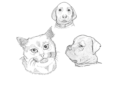 3 pets dogs line art vector