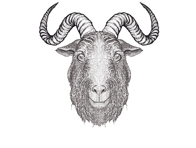 Detailed goat illustration black and white cartoon clip art dots freestyle graphic design illustration line drawing stipling