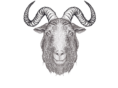 Detailed goat illustration