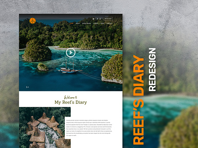 MY REEFS design ui ux web