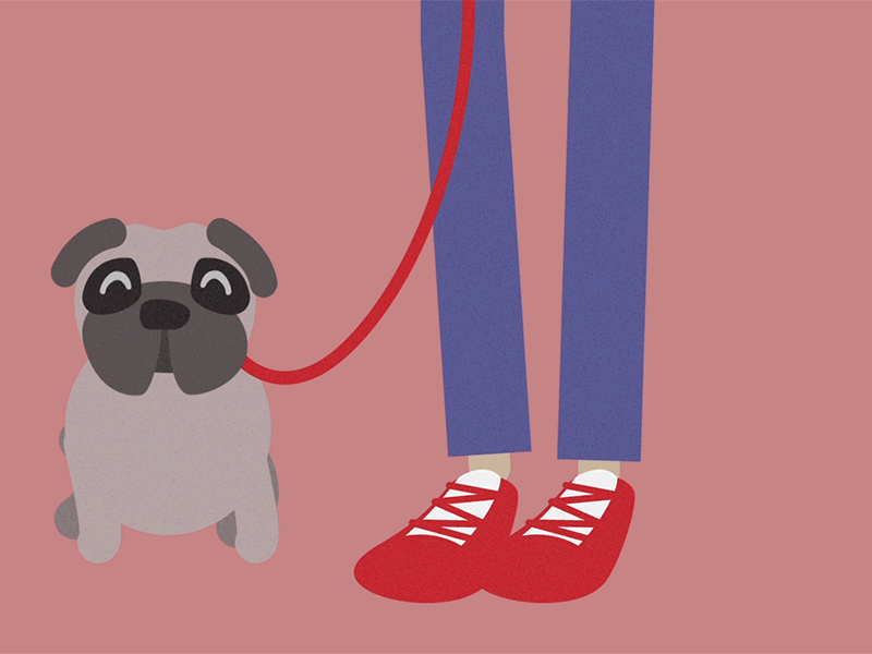 Ester First after effects dog gif illustration