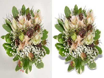 Flower Remove background ; clipping path background remove beauty retouch clipping path color correction erase background flower remove glamour retouch image editing mdishakrahman neck joint object remove re color remove background shadow symmetry transparent background white background