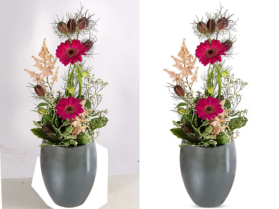 Delete Background With white Background background remove beauty retouch clipping path color correction complex path delete background flower flower remove glamour retouch image editing mdishakrahman mdishakrahman neck joint object remove remove background shadow white background