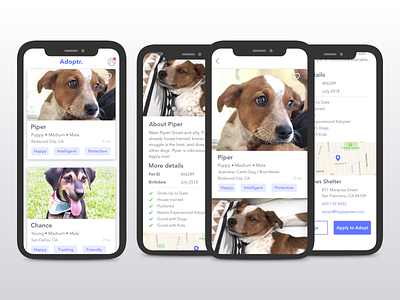 Fictitious pet adoption app cards cards ui design dog interaction mobile mobile app mobile app design pet pet adoption ui uidesign visual design