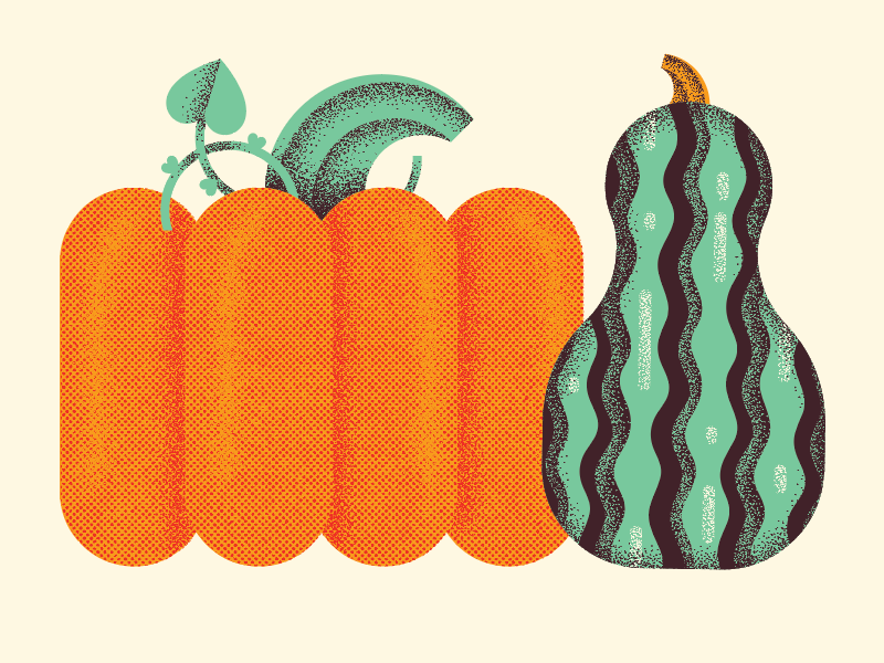 squash friends garden halloween pumpkin fall autumn food squash plant illustration