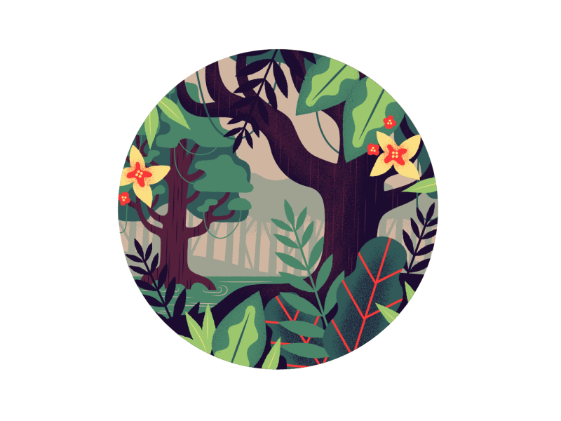 Ecosystem - Jungle bear disney environment forest illustration jungle mowgli plants trees