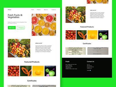 Export Store branding bussiness design e commerce export landing page typography ui ux