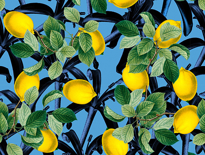 Marco Victorino - Pattern Limoncello botanical art design floral pattern pattern design pattern designer