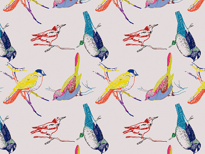 Marco Victorino Pattern Bird Color abstract bird birds design pattern pattern design pattern designer