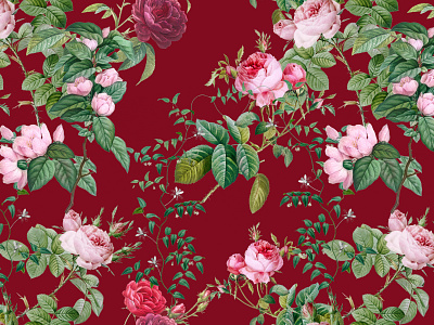 Marco Victorino - Pattern Roses botanical botanical art design floral flower flowers garden nature pattern pattern design pattern designer rose roses