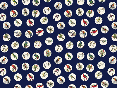 Marco Victorino - Pattern-Petit Poá Birds - Blue bird birds design pattern pattern design pattern designer
