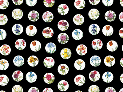 Marco Victorino - Pattern-Petit Poá Flowers - Black abstract botanical art design floral flower flowers garden iris pattern pattern design pattern designer petit petit poá rose tulip