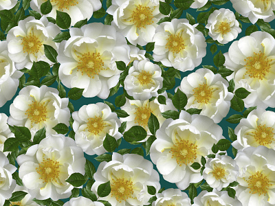 Marco Victorino - Pattern White Flowers abstract botanical art design floral flower flowers garden pattern pattern design pattern designer rose